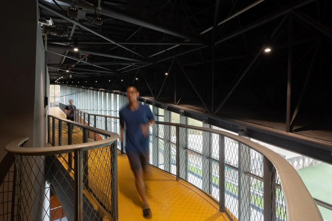 BIM Architecture | Southern University of Science and Technology Gymnasium/URBANUS Urban Practice