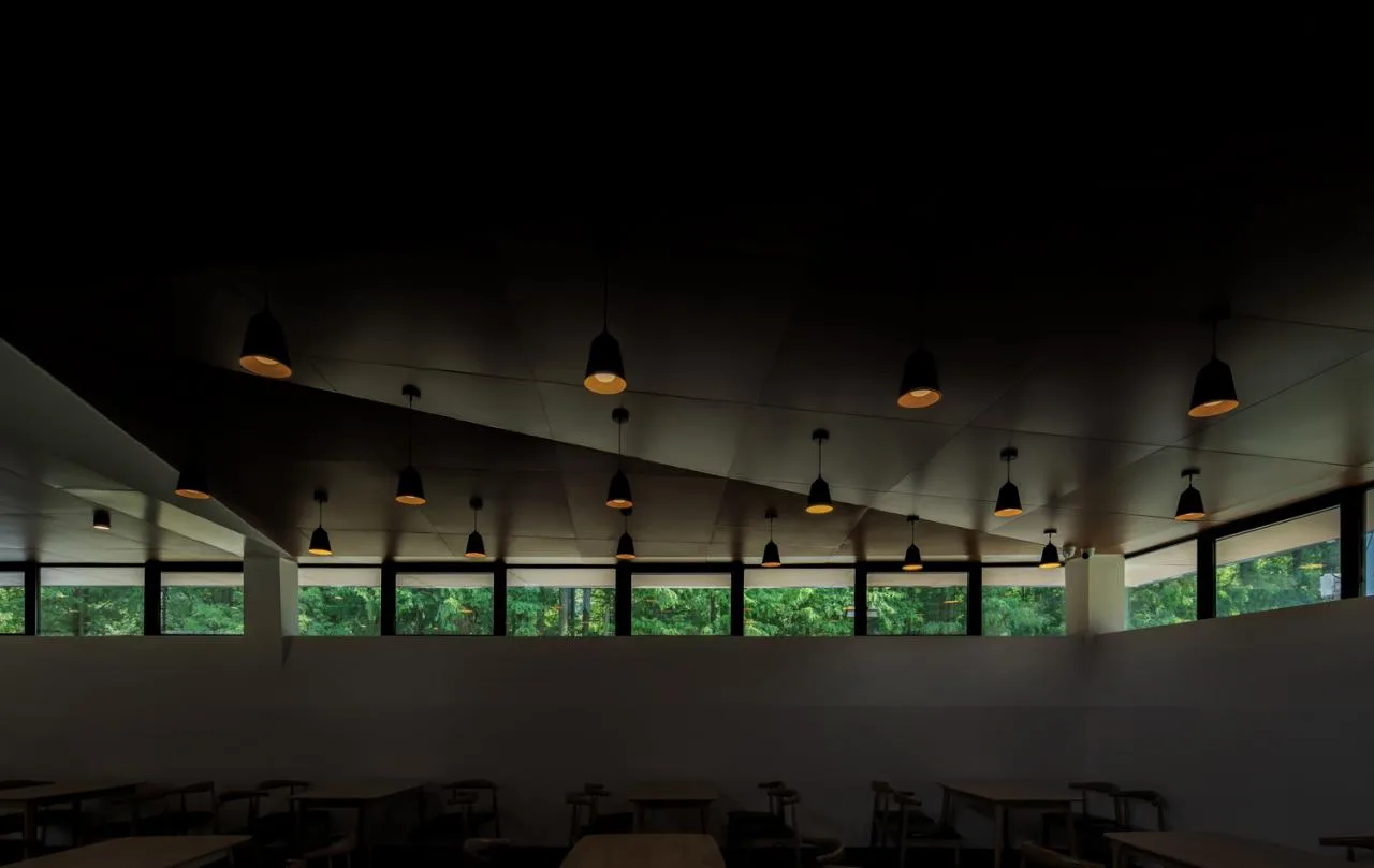 BIM Architecture | Wuxiangshan Qiuhu Station/Misi Architecture