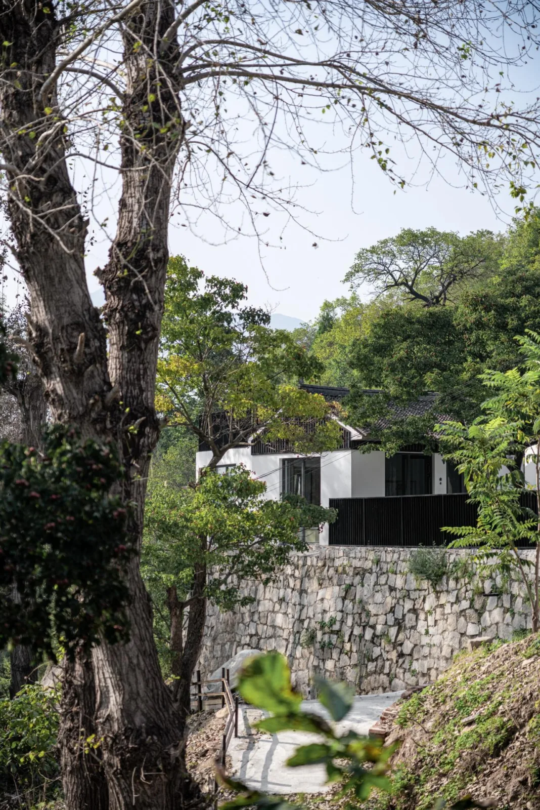 BIM Architecture | Hidden Home in the Mountains - Manshe Shanju Boutique Homestay Hotel/Qihe Design