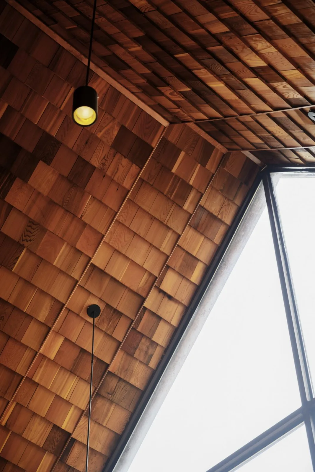 BIM Architecture | Wooden Town: Island, Jungle, Small Wooden House, Jiujiang/Pingjie Design