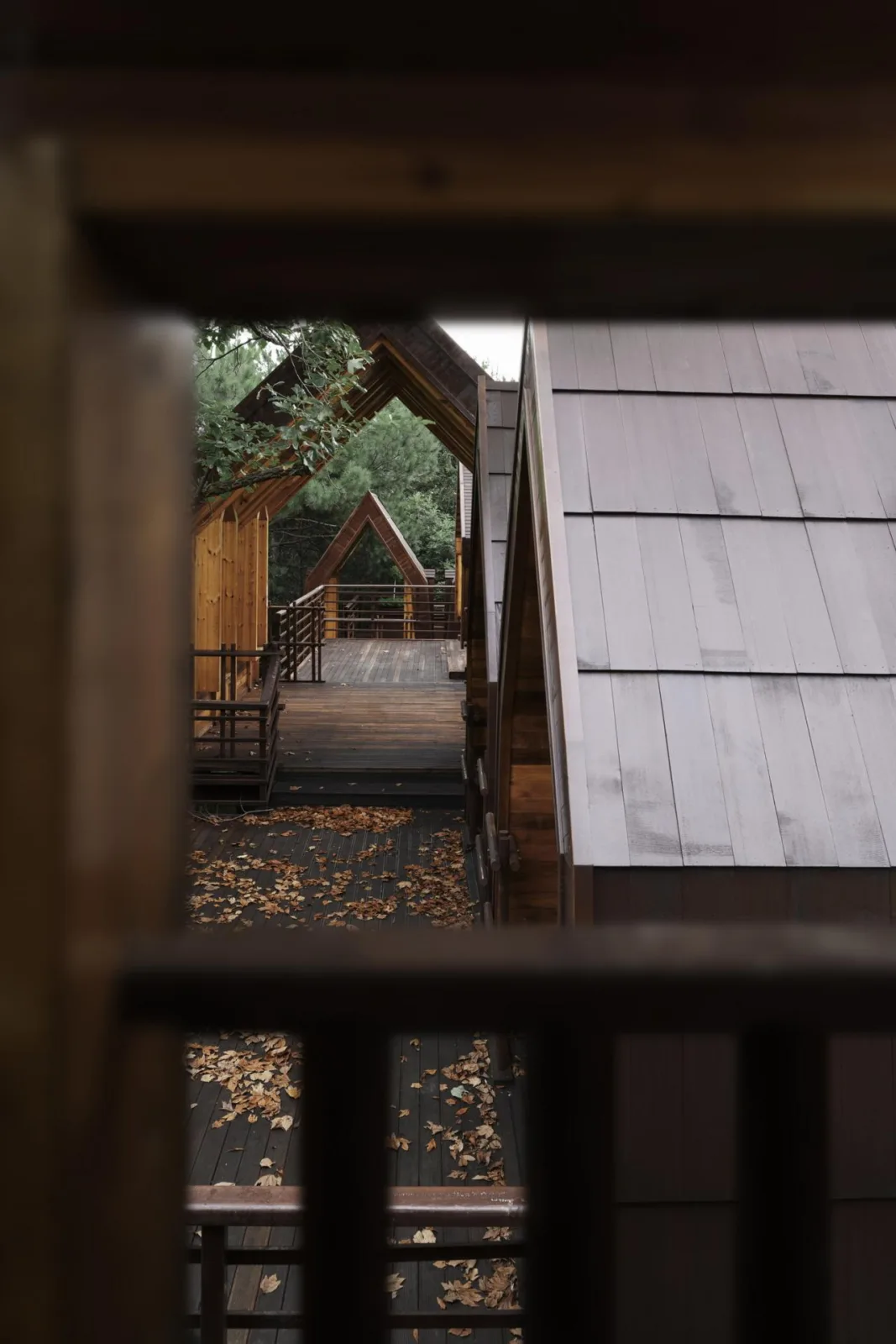 BIM Architecture | Wooden Town: Island, Jungle, Small Wooden House, Jiujiang/Pingjie Design