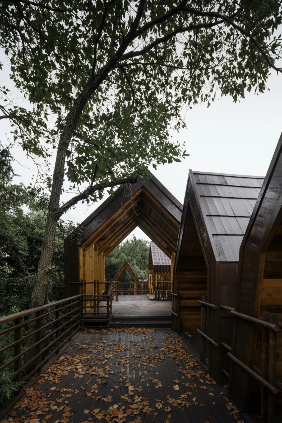 BIM Architecture | Wooden Town: Island, Jungle, Small Wooden House, Jiujiang/Pingjie Design