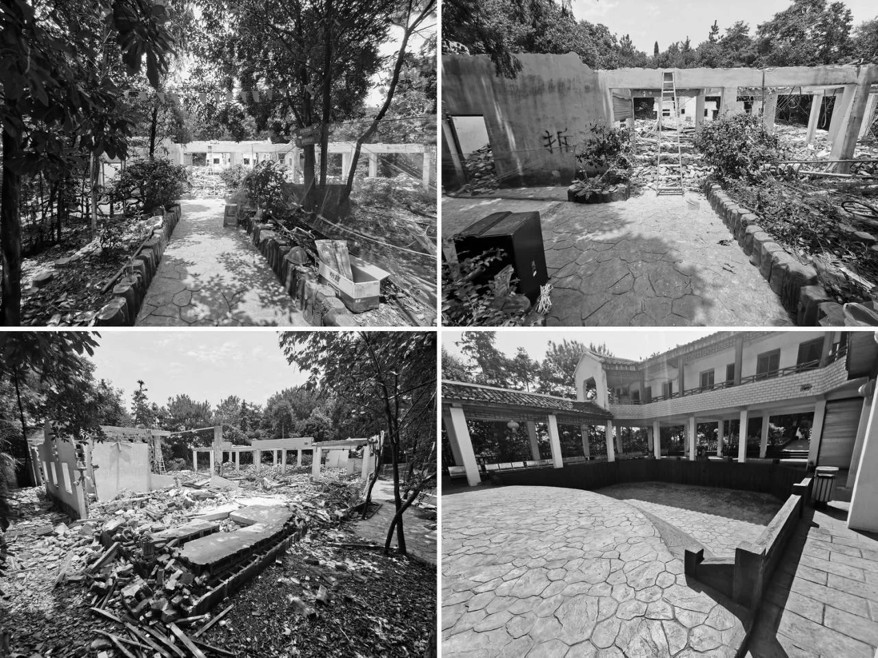 BIM Architecture | Wooden Town: Island, Jungle, Small Wooden House, Jiujiang/Pingjie Design