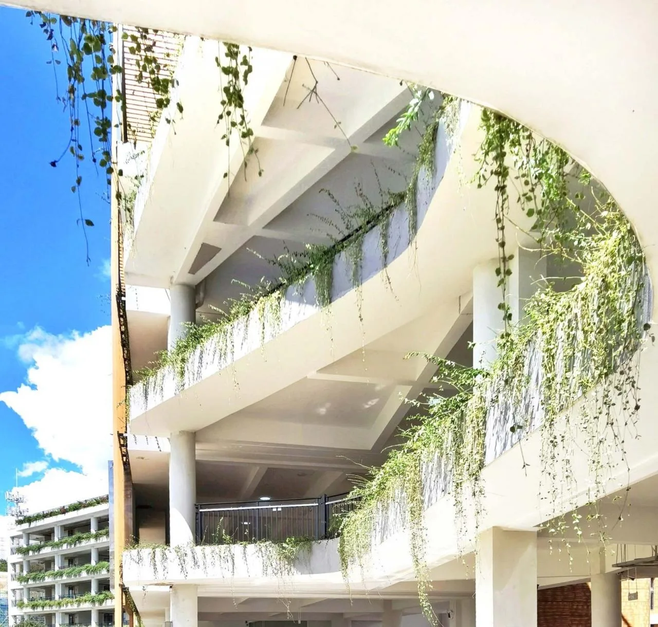 BIM Architecture | Yunnan Yuxi High tech Primary School/Oneself Alliance