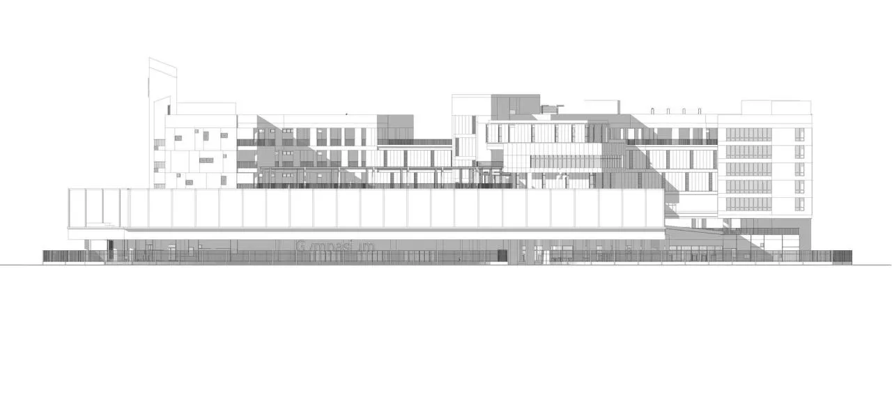BIM Architecture | Rixin Primary School/Shendu Design in Pingshan District, Shenzhen