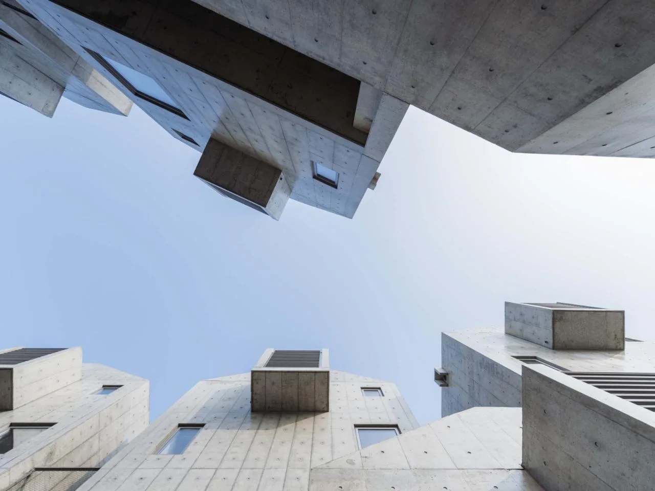 BIM architecture | Pet hotel: kennel/high-rise building