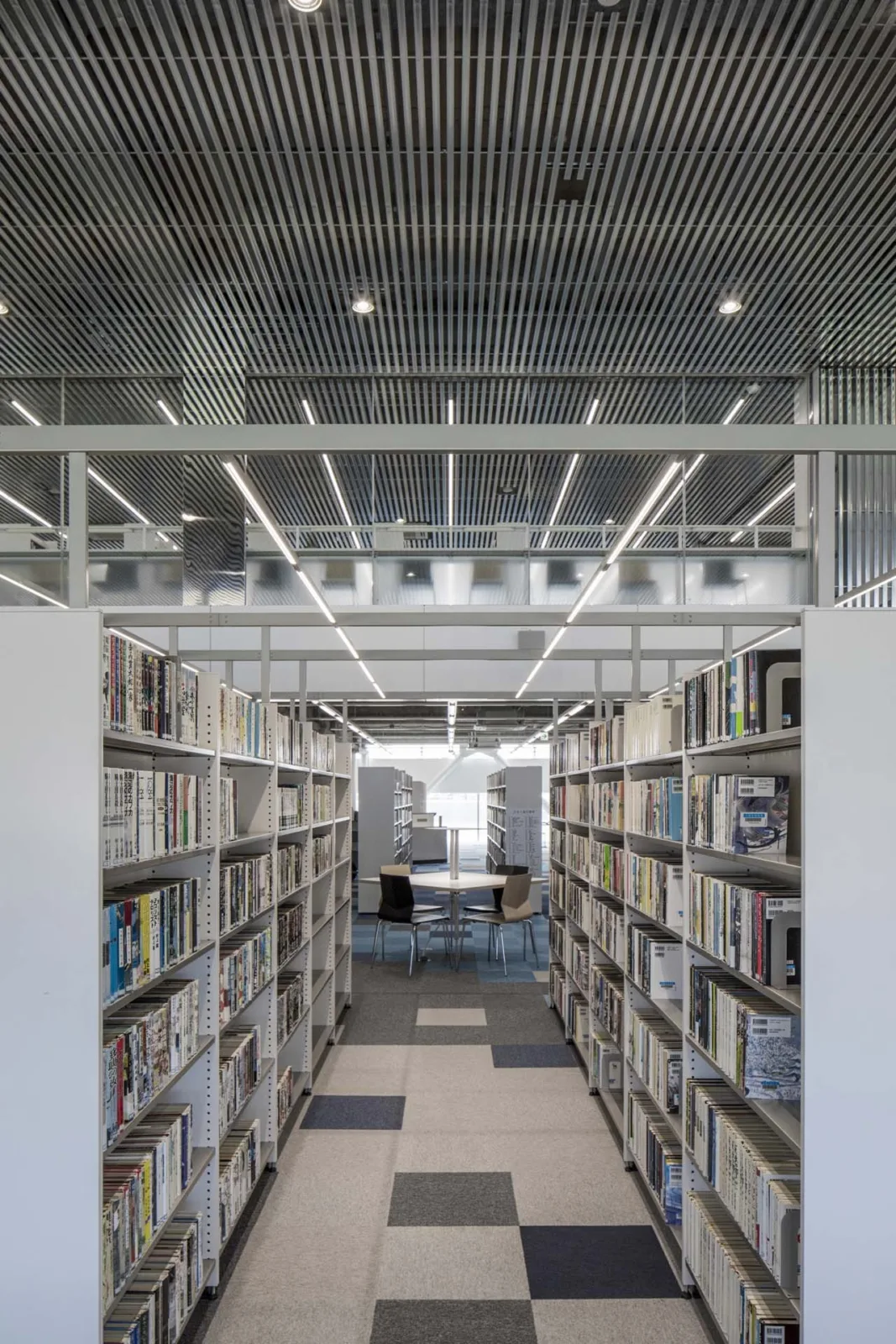 BIM Architecture | Librio Bridge (Comprehensive Facilities of Xingqiao City Library)/Sanshang Architectural Firm