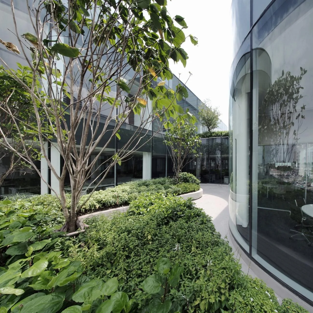 BIM Architecture | Toyota Thailand Marketing Office Complex/ASWA