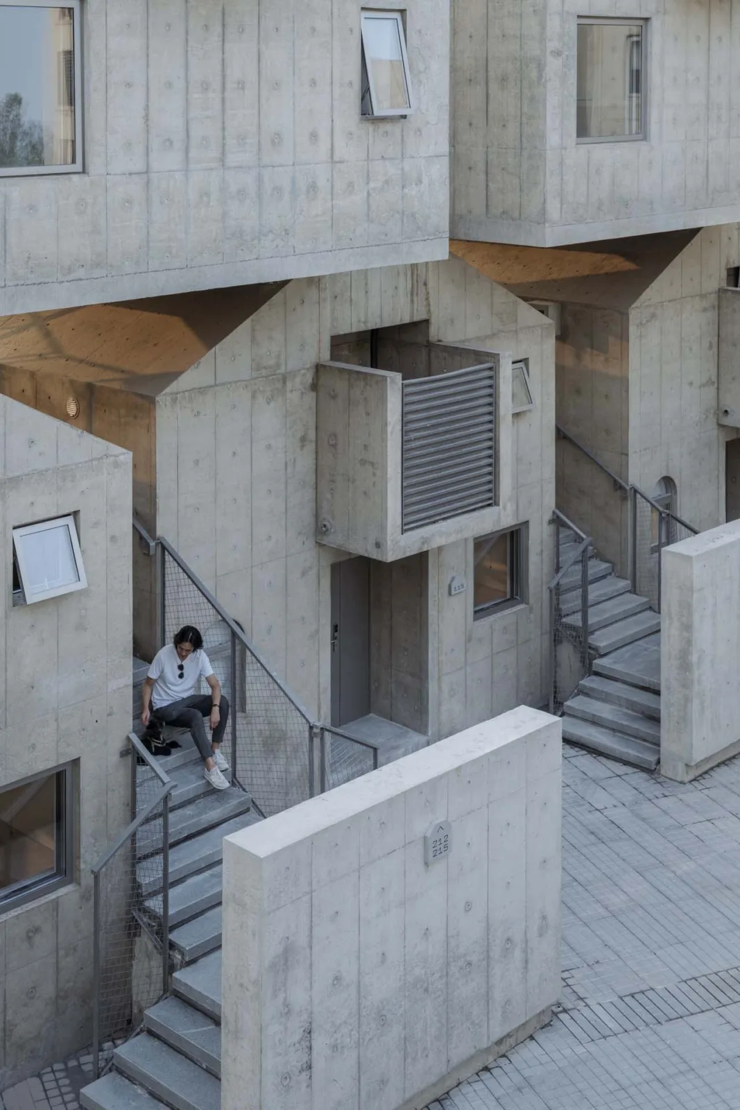 BIM architecture | Pet hotel: kennel/high-rise building
