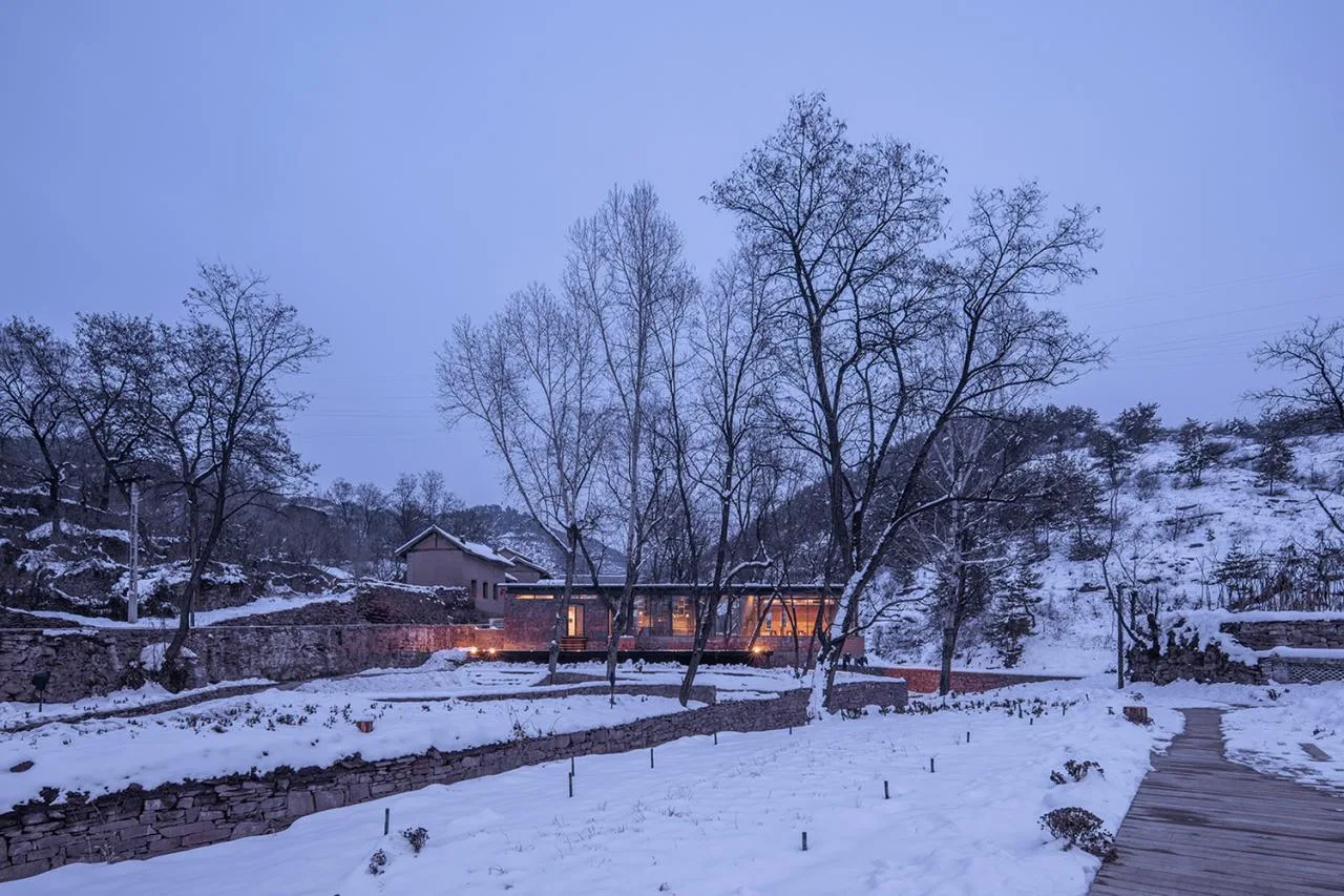 BIM Architecture | Coexistence with Trees and Old Earth Walls - Armory Coffee/Three Culture Architecture