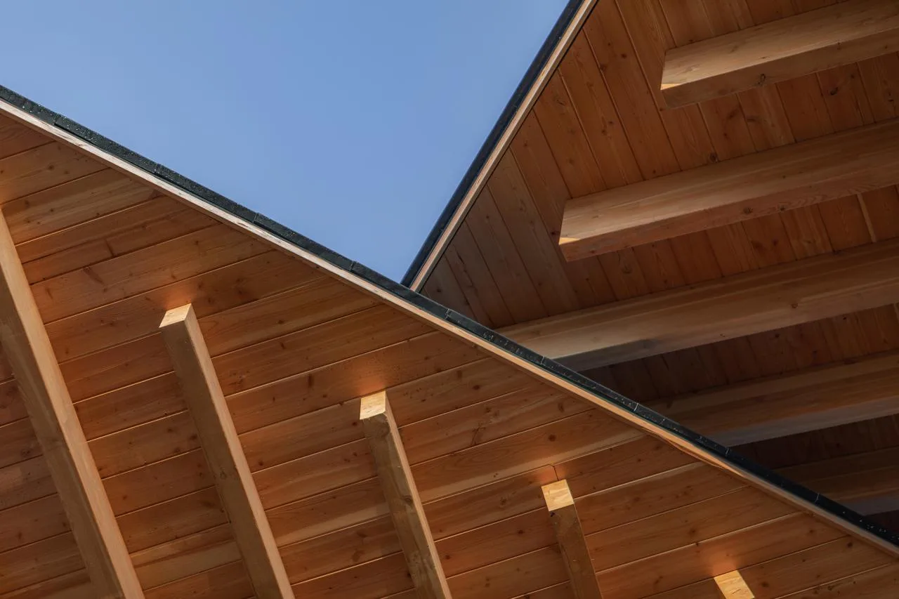 BIM Architecture | Fuyang Yangpi Lake Wetland Reception Center/Jianlin Architectural Design Firm
