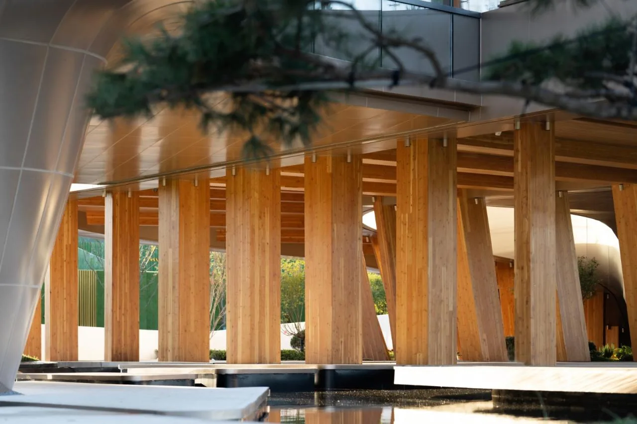 BIM Architecture | Integrated Design of Wooden Construction | Yibin Bai Lan Aesthetics Museum: How does architecture grow on the ground?