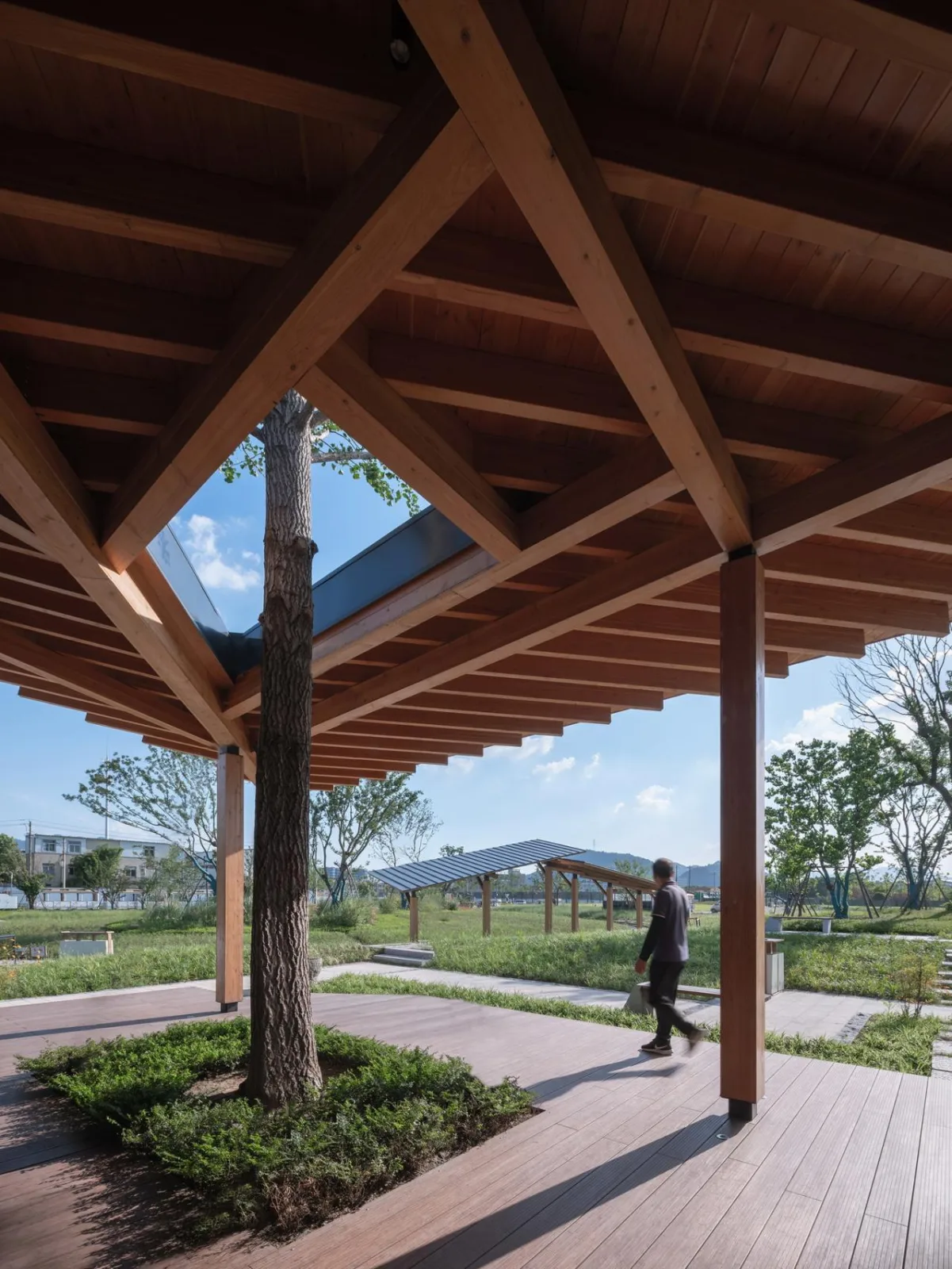 BIM Architecture | Fuyang Yangpi Lake Wetland Reception Center/Jianlin Architectural Design Firm