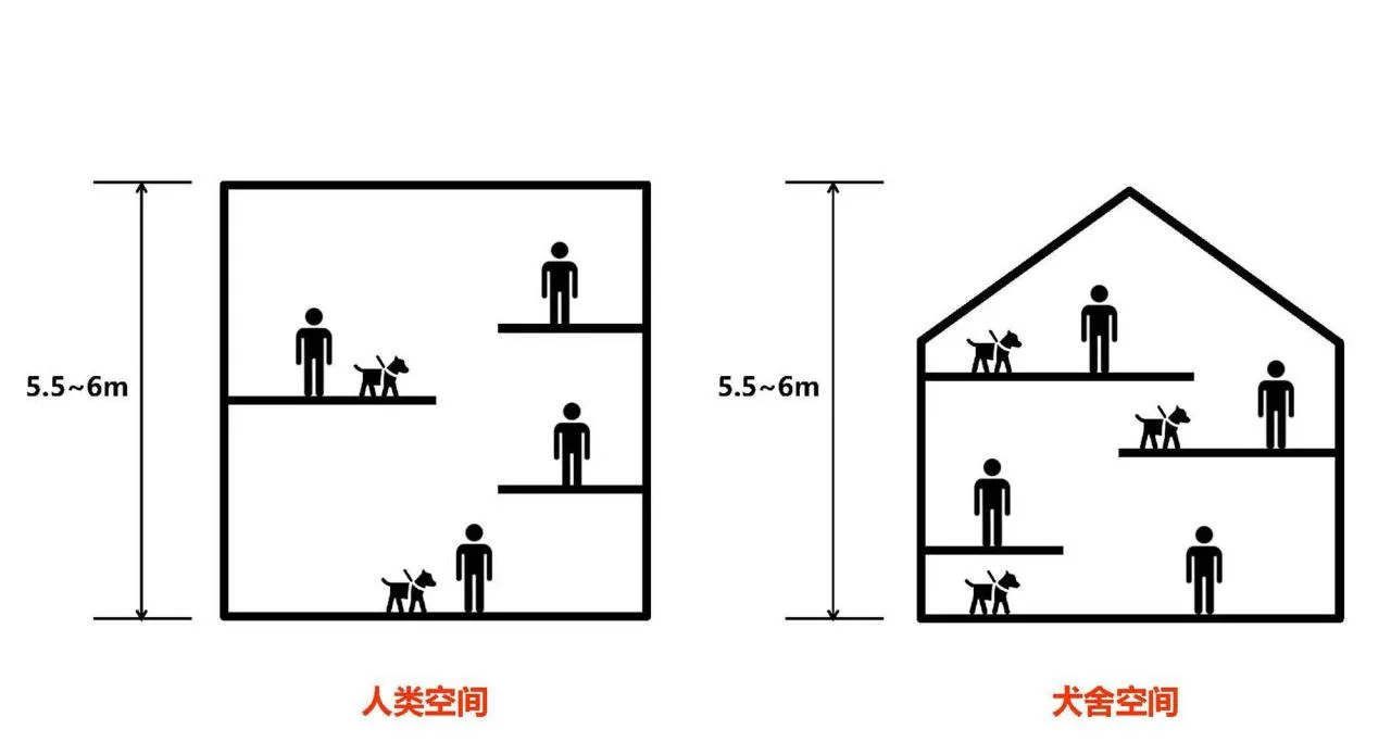 BIM architecture | Pet hotel: kennel/high-rise building