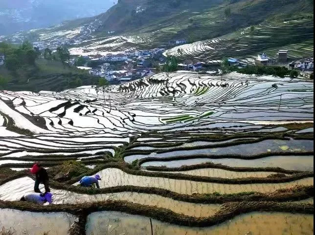 BIM architecture | Ideal even in remote areas! Build an 'Explorer Kindergarten'/Dika Architectural Design Center on Daliangshan in Xichang Satellite Launch Base