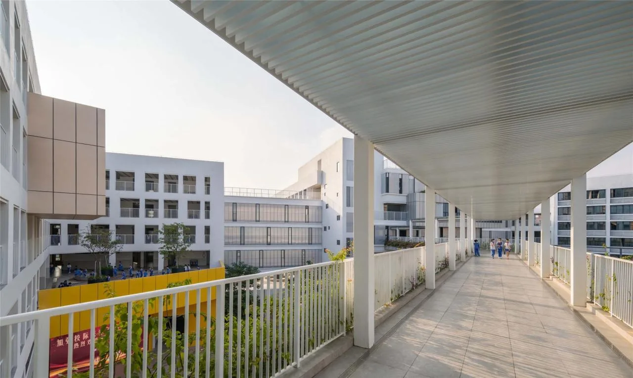 BIM Architecture | Rixin Primary School/Shendu Design in Pingshan District, Shenzhen