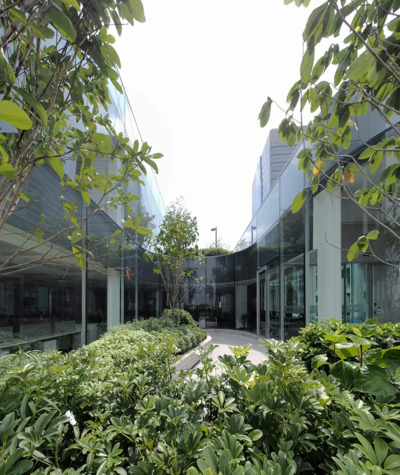 BIM Architecture | Toyota Thailand Marketing Office Complex/ASWA