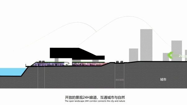 BIM Architecture | "Hidden Garden by the Pond" - Architectural Scheme Design/Landscape Architecture Design for Shenzhen No.28 Senior High School