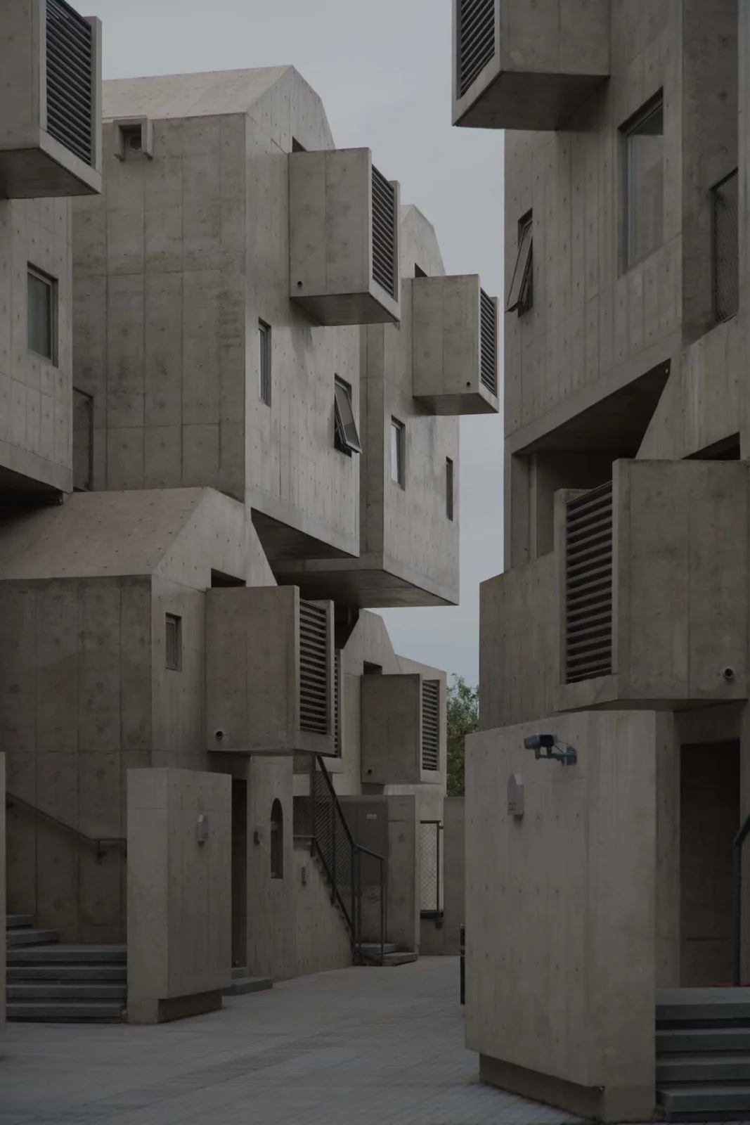 BIM architecture | Pet hotel: kennel/high-rise building