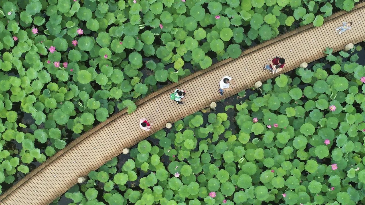 BIM Architecture | Gulao Water Town Cultural Ecological Tourism Resort Guest Center/Shenzhen Huahui Design