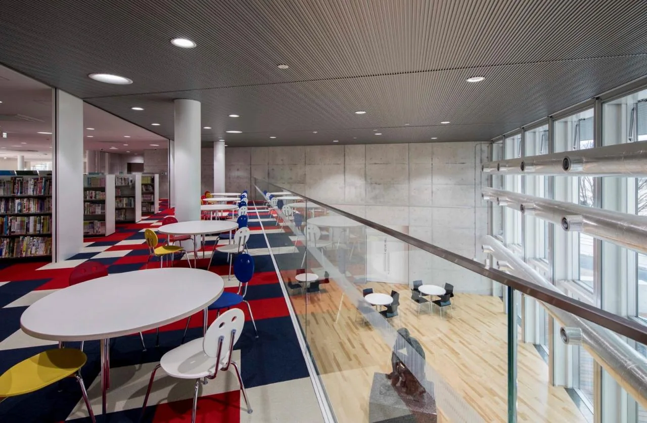 BIM Architecture | Librio Bridge (Comprehensive Facilities of Xingqiao City Library)/Sanshang Architectural Firm
