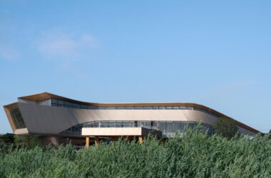BIM Architecture and Integrated Wooden Design: Exploring the Yibin Bai Lan Aesthetics Museum's Grounded Growth-BIM WORLD