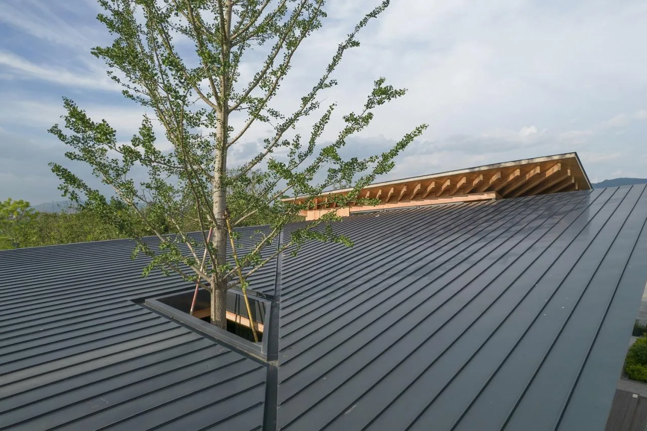 BIM Architecture | Fuyang Yangpi Lake Wetland Reception Center/Jianlin Architectural Design Firm