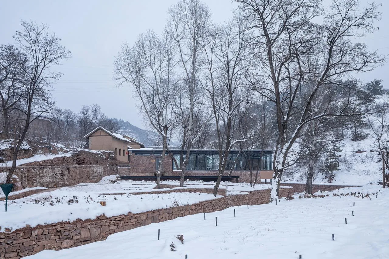 BIM Architecture | Coexistence with Trees and Old Earth Walls - Armory Coffee/Three Culture Architecture