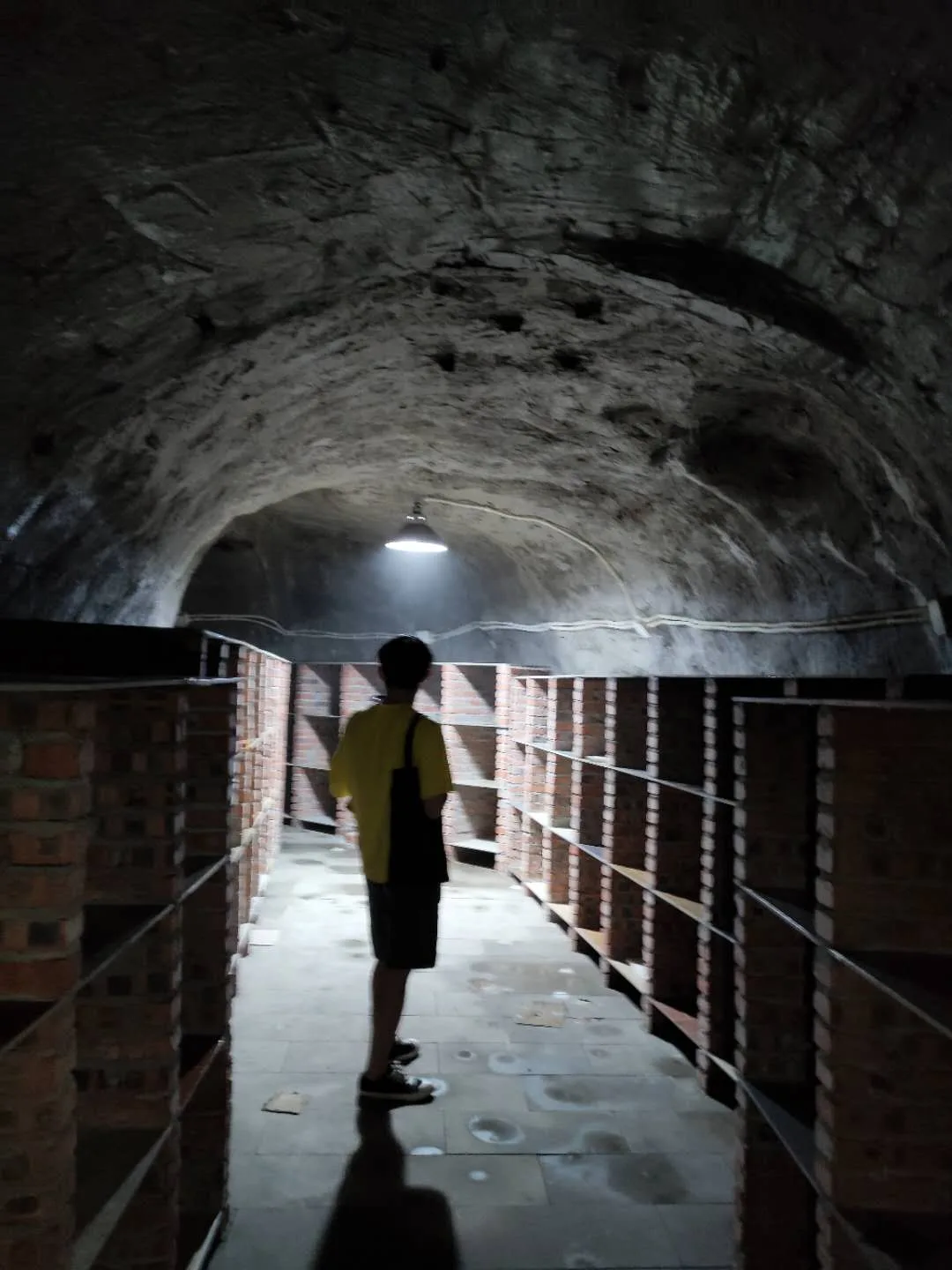 BIM Architecture | Caver - Bar in Airway/itD Studio