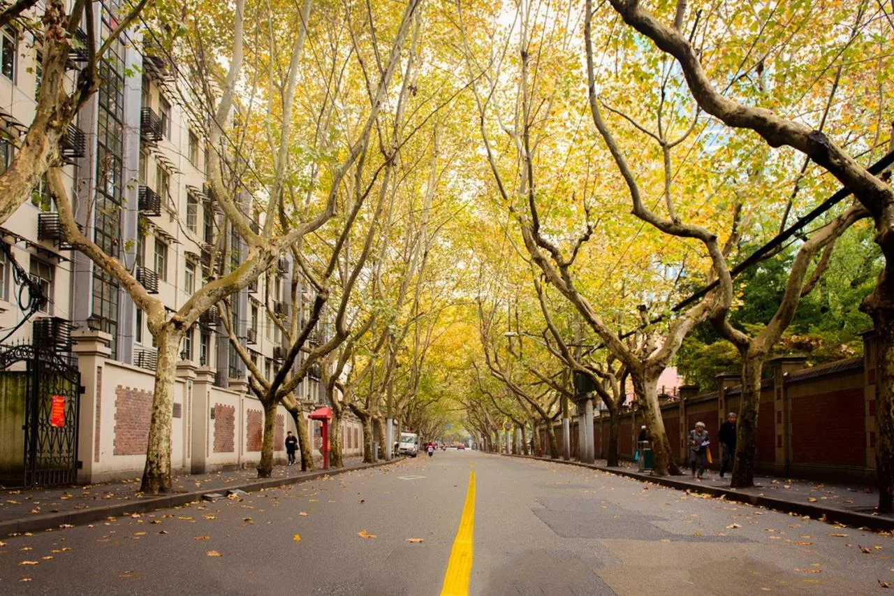 BIM architecture | The 'head' plot of Yuyuan Road is about to rejuvenate/Sanyi China