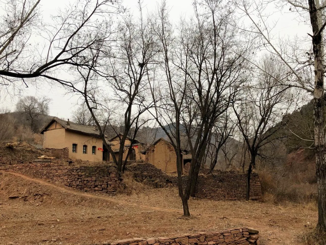 BIM Architecture | Coexistence with Trees and Old Earth Walls - Armory Coffee/Three Culture Architecture