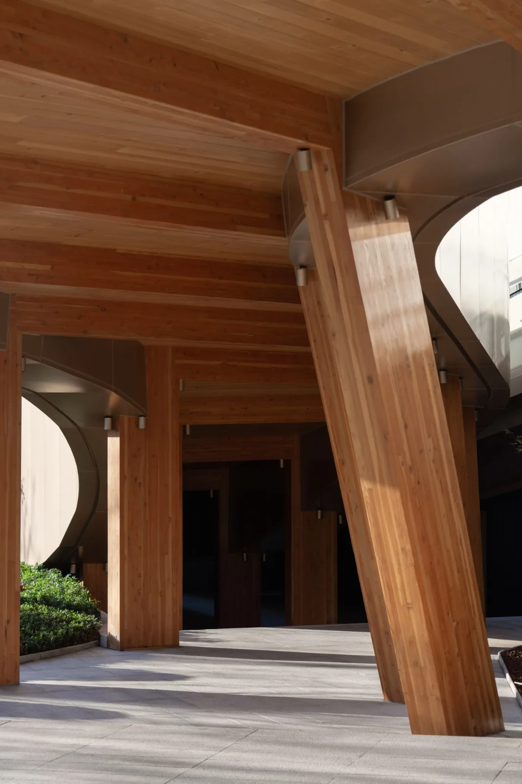 BIM Architecture | Integrated Design of Wooden Construction | Yibin Bai Lan Aesthetics Museum: How does architecture grow on the ground?