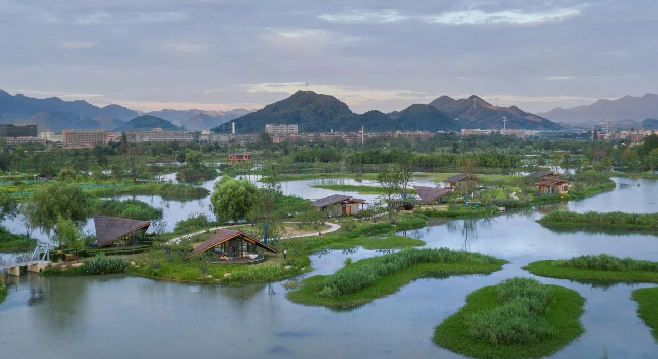 BIM Architecture | Fuyang Yangpi Lake Wetland Ecological Hotel/Jianlin Architecture