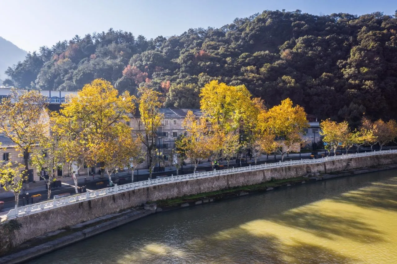 BIM Architecture | New Fireworksism: Organic Renewal of Xibin South Road in the Old Town of Jinyun/I Studio Yanwu Architecture