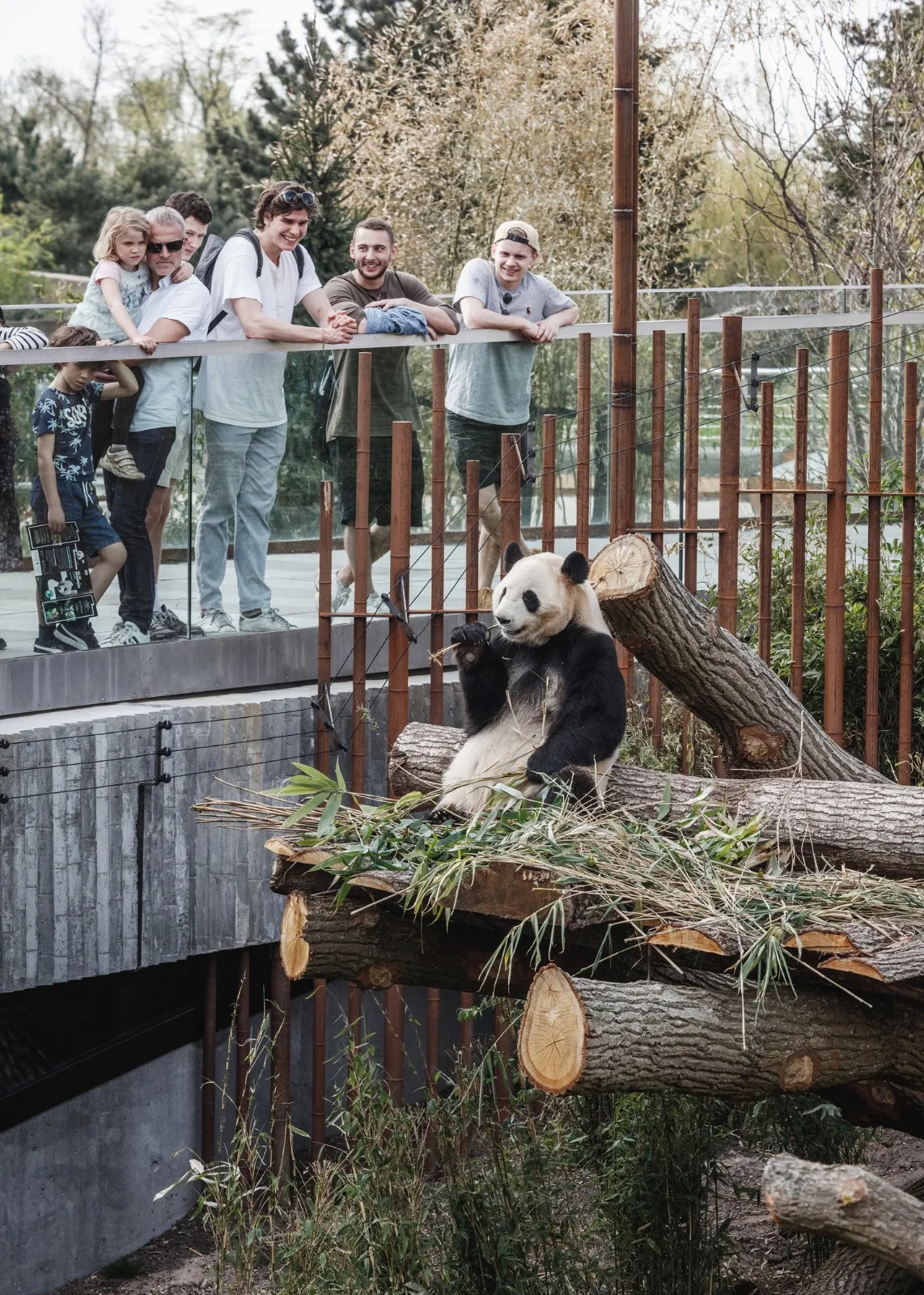 BIM Architecture | Copenhagen Zoo Yin Yang Panda Pavilion/BIG