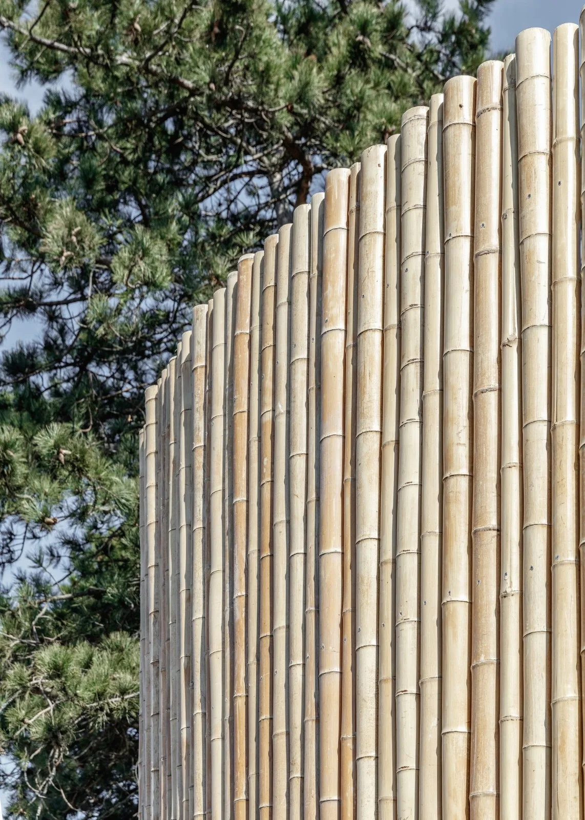 BIM Architecture | Copenhagen Zoo Yin Yang Panda Pavilion/BIG