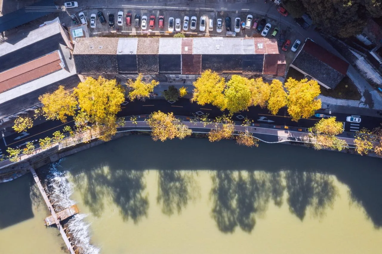 BIM Architecture | New Fireworksism: Organic Renewal of Xibin South Road in the Old Town of Jinyun/I Studio Yanwu Architecture