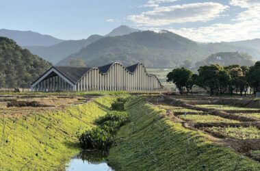 BIM Architecture: Taoranxu Rural Market and Haoyuan Group Design Center-BIM WORLD