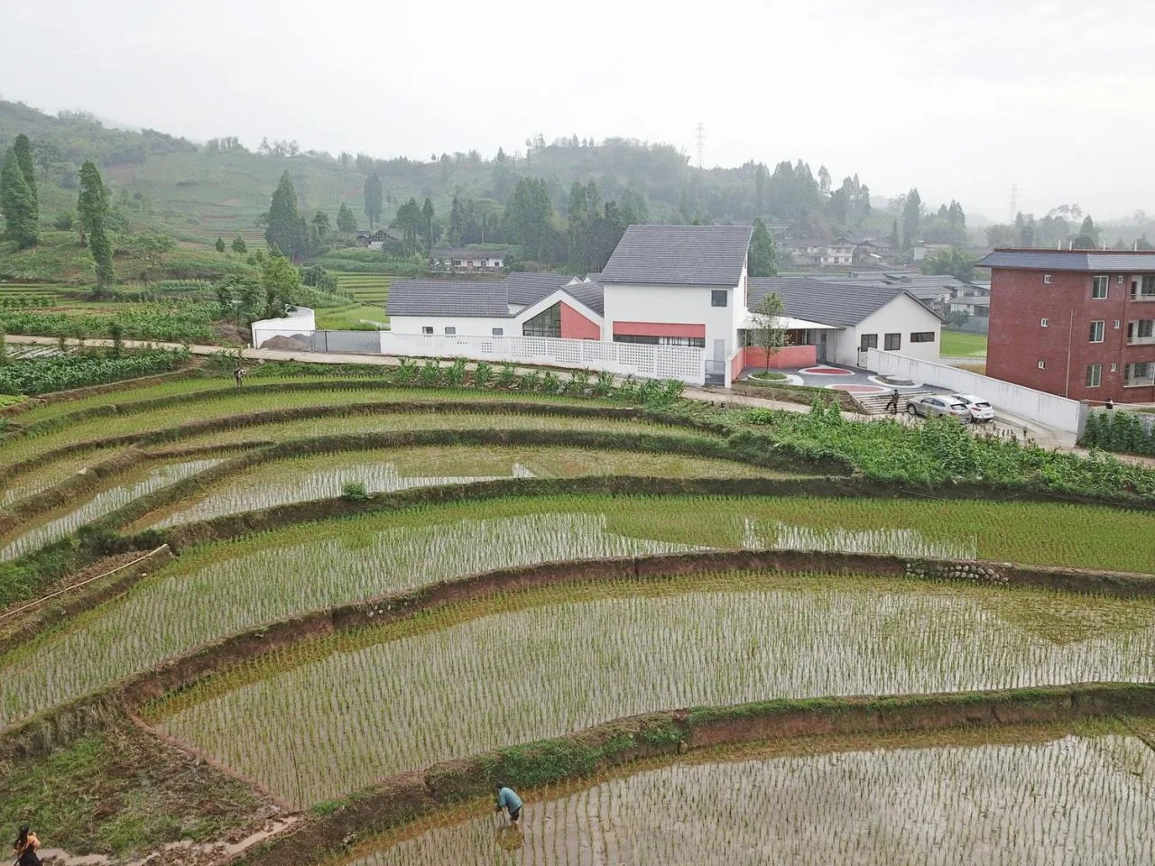 BIM Architecture | Daping Township Kindergarten/Dongyi Architecture