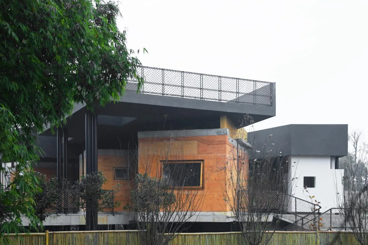 BIM Architecture | Mingting Rural Natural School/Vibrant and Splashing Architecture Studio