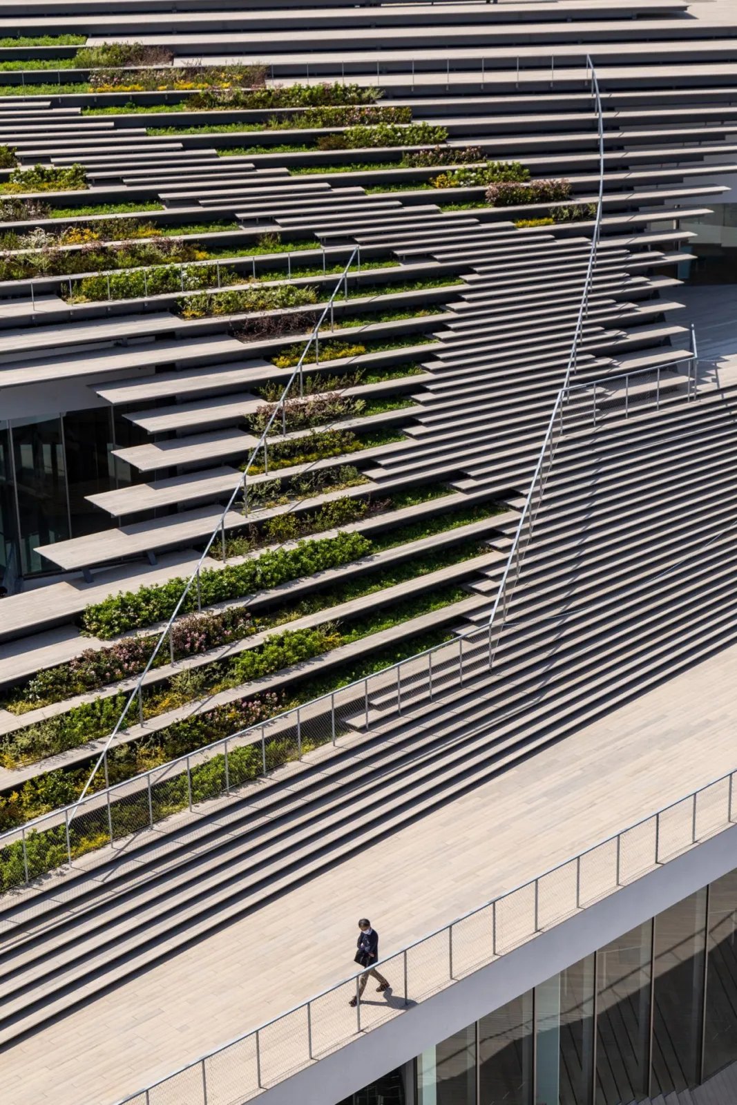 BIM Architecture | Hisao& Co., Tokyo Institute of Technology; Hiroko Taki Square/Kengo Kuma Architectural Firm