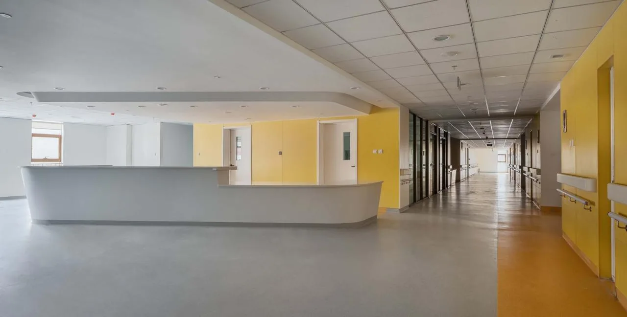BIM Architecture | Xizang Women and Children's Hospital/Bazuo Architectural Design Firm