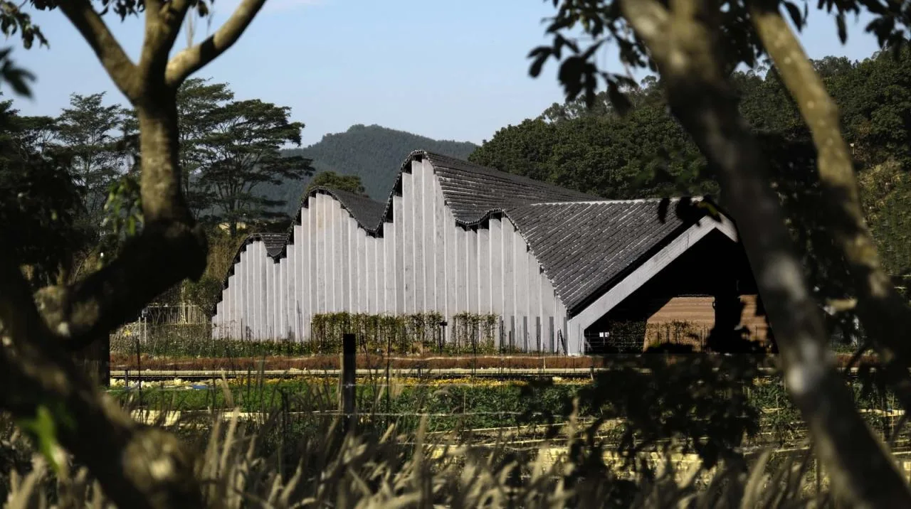 BIM Architecture | Taoranxu Rural Market/Haoyuan Group Design Center