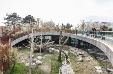 BIM Architecture: BIG's Yin Yang Panda Pavilion at Copenhagen Zoo-BIM WORLD