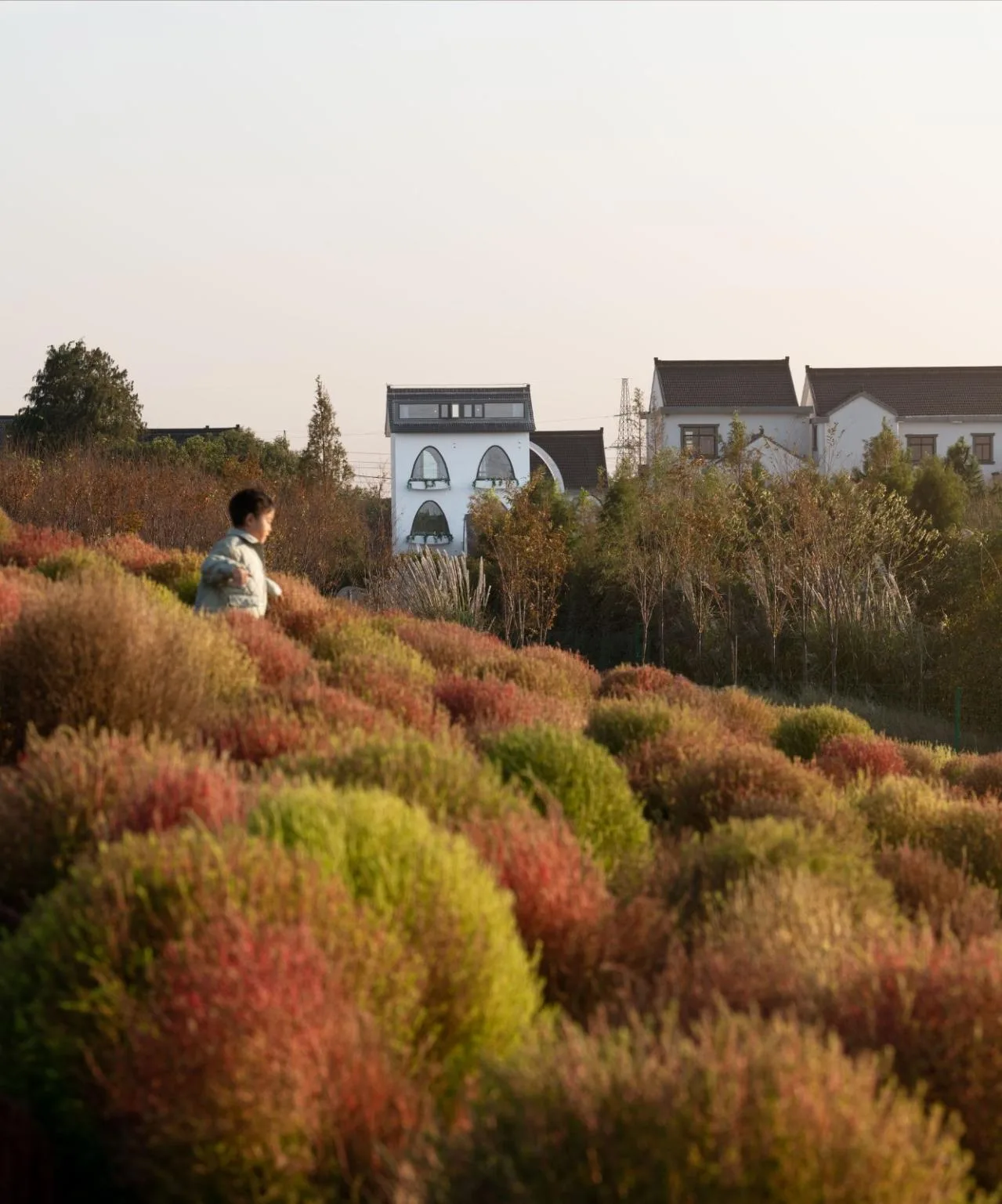 BIM Architecture | Renovation of Huahai Homestay in Daijing Village/Fandu Design Firm