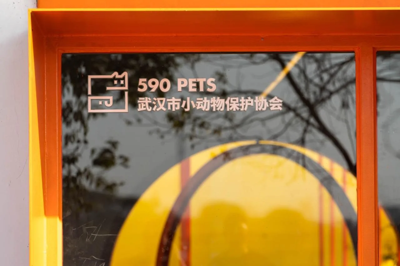 BIM Architecture | Stray Animal Protection Base/UAO Ruituo Design