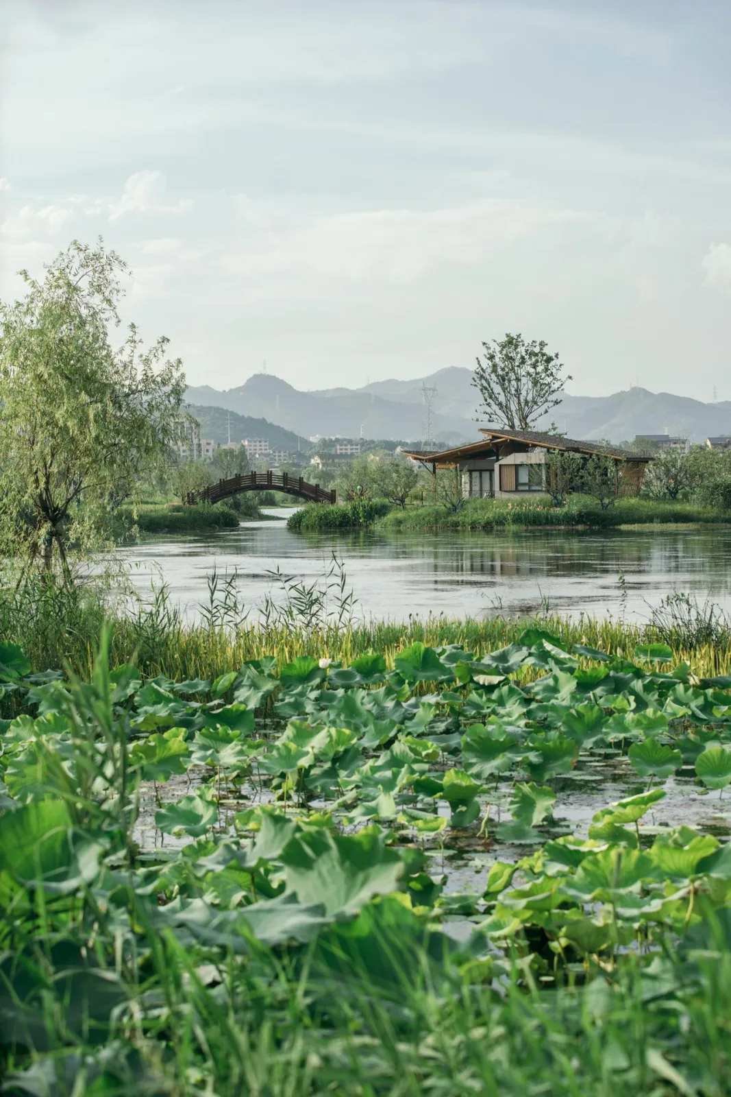 BIM Architecture | Fuyang Yangpi Lake Wetland Ecological Hotel/Jianlin Architecture