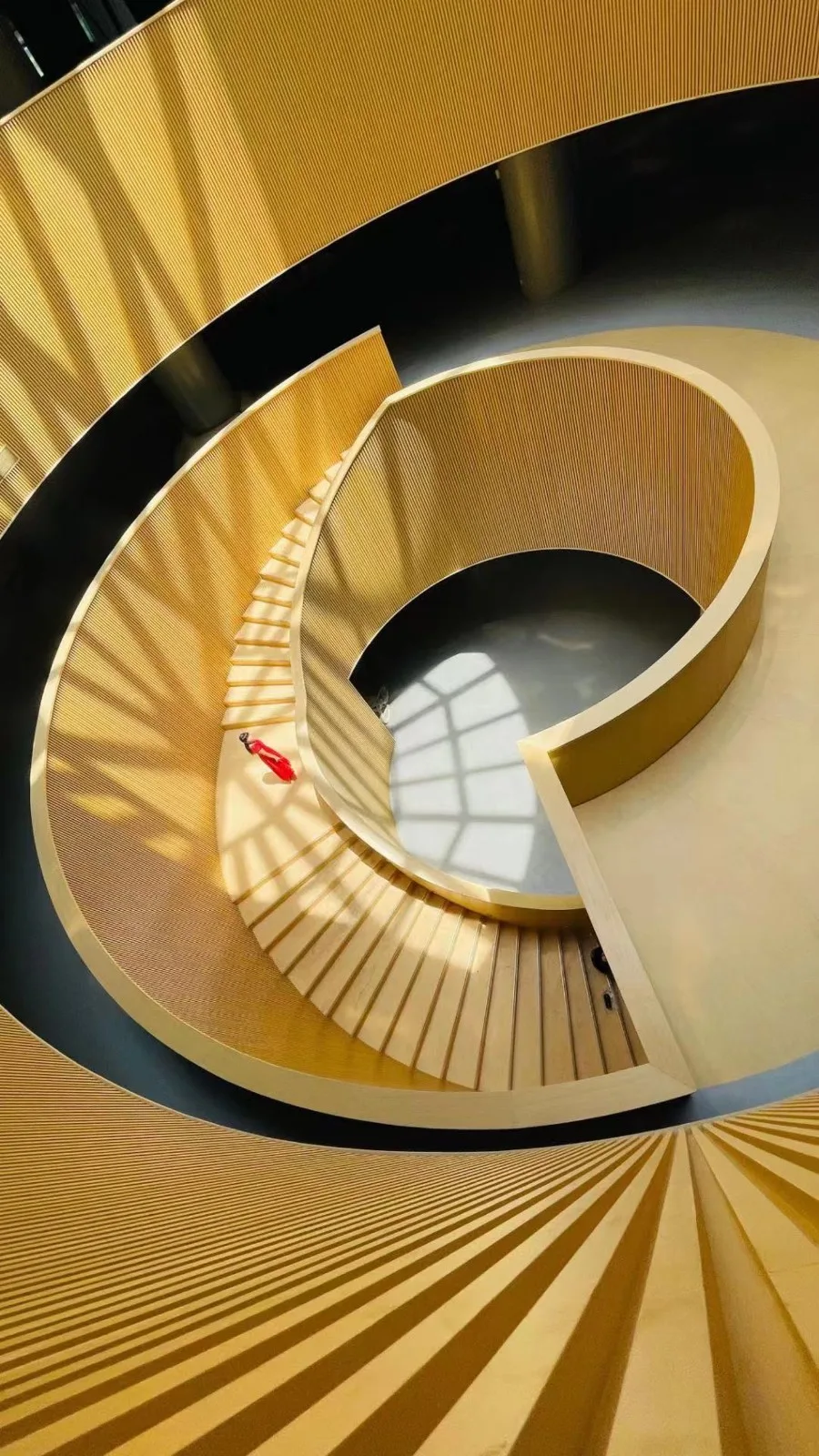 BIM Architecture | Xiamen Hongai Obstetrics and Gynecology Hospital/LEMANRAC Swiss Rui Meng Design