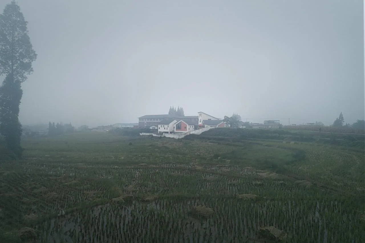 BIM Architecture | Daping Township Kindergarten/Dongyi Architecture
