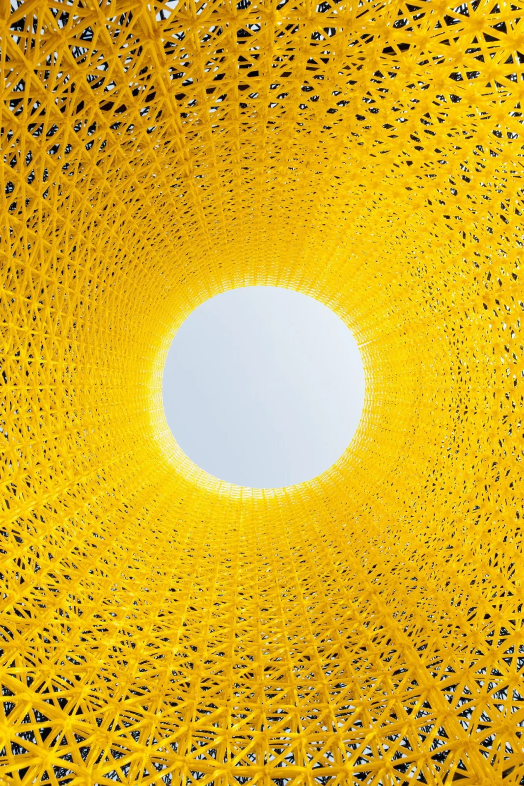 BIM Architecture | Magical Realism Installation: Arrival/Wutopia Lab